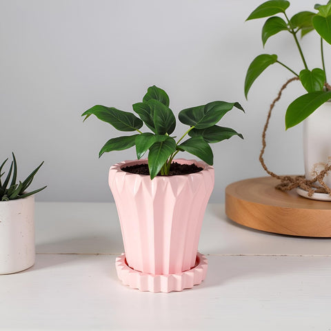 Jungle Ceramic Pot with Tray