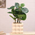 Bubble Ceramic Pot