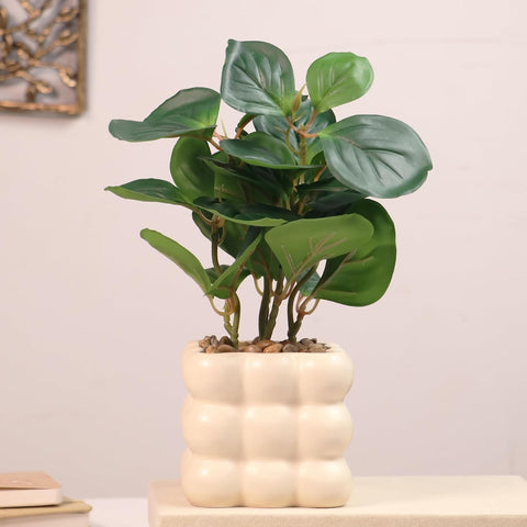 Bubble Ceramic Pot