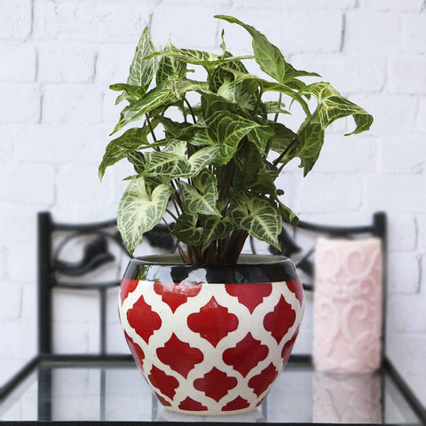 Apple Ceramic Pot