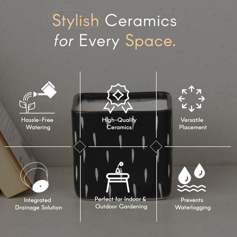 Dash Black Ceramic Pot