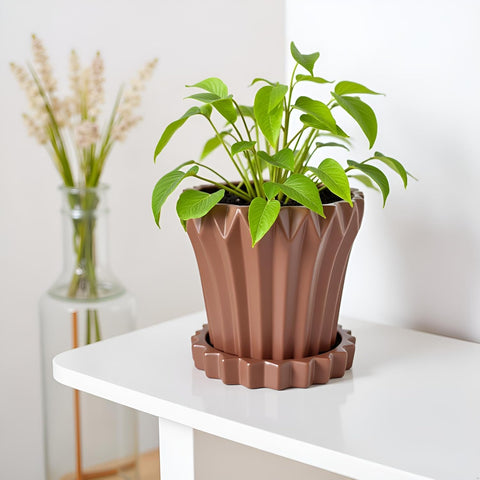 Jungle Ceramic Pot with Tray
