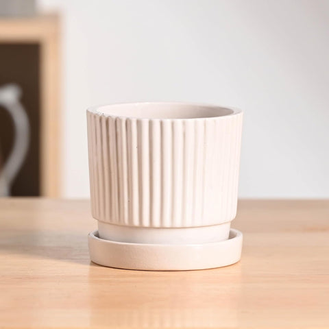 Roma Ceramic Pot