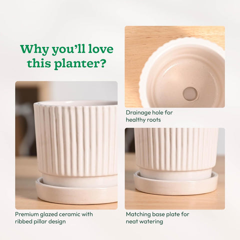 Roma Ceramic Pot