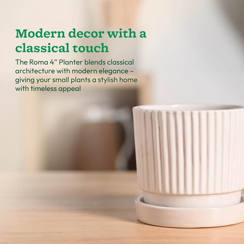 Roma Ceramic Pot