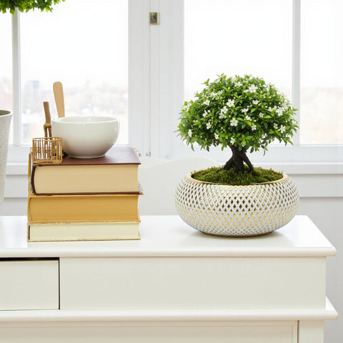 Elite Ceramic pot