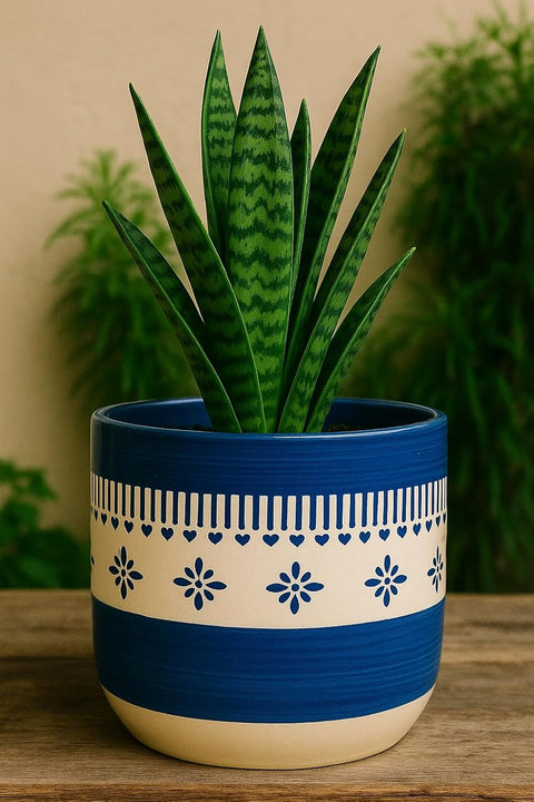 Falling Daisy Ceramic Pot
