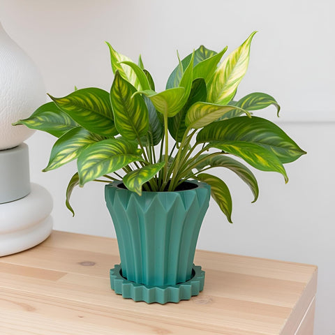 Jungle Ceramic Pot with Tray