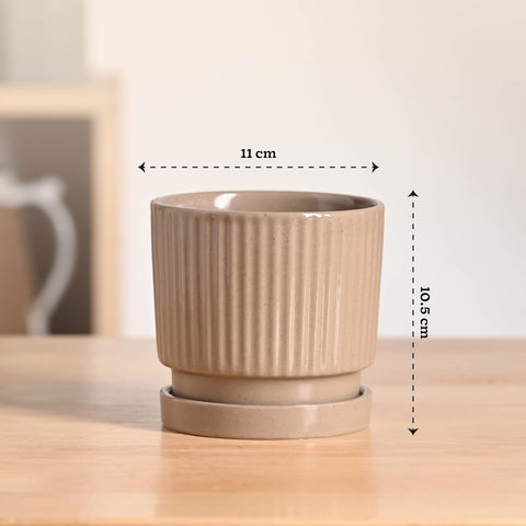Roma Ceramic Pot