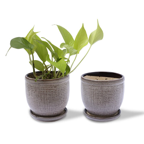 Decorative Ceramic Pot