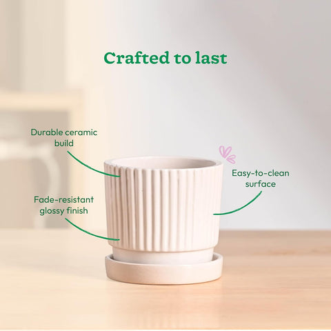 Roma Ceramic Pot