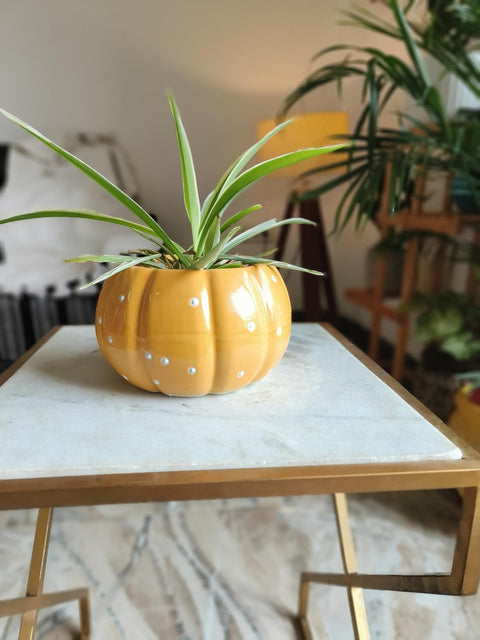Dotted Pumpkin Ceramic Pot