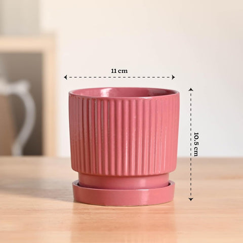 Roma Ceramic Pot