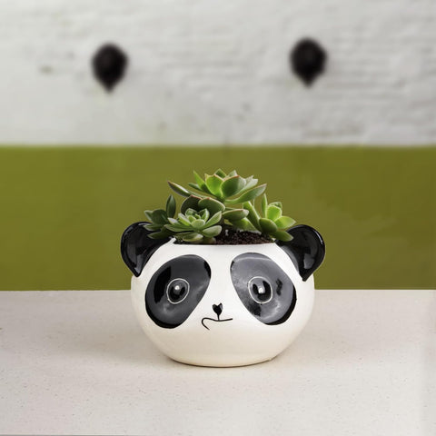 Panda Ceramic Pot