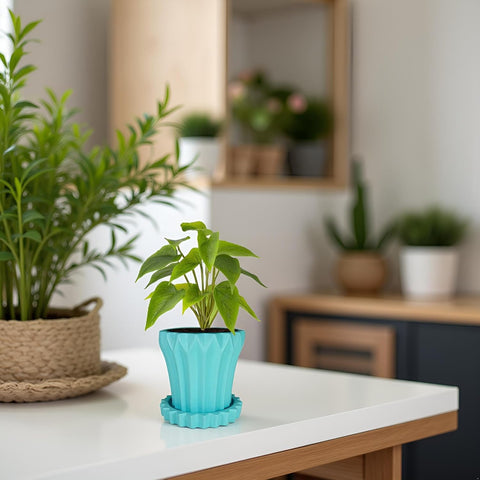 Jungle Ceramic Pot with Tray