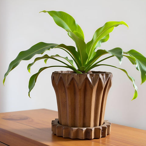 Jungle Ceramic Pot with Tray