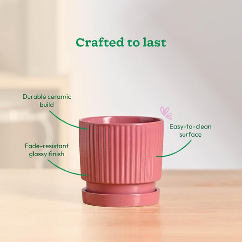 Roma Ceramic Pot