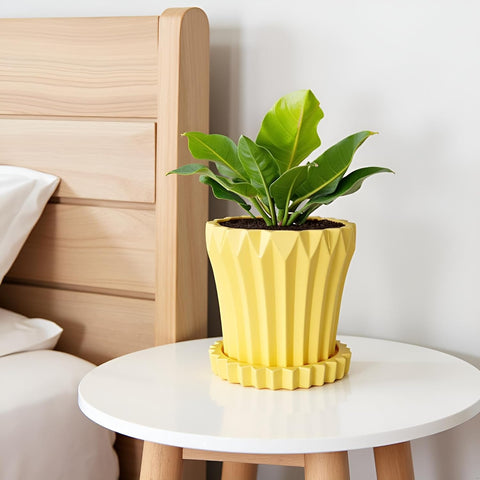 Jungle Ceramic Pot with Tray