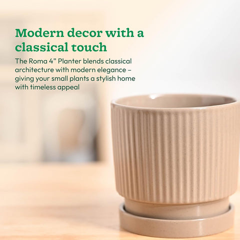 Roma Ceramic Pot