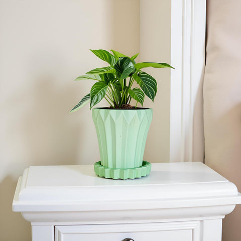 Jungle Ceramic Pot with Tray