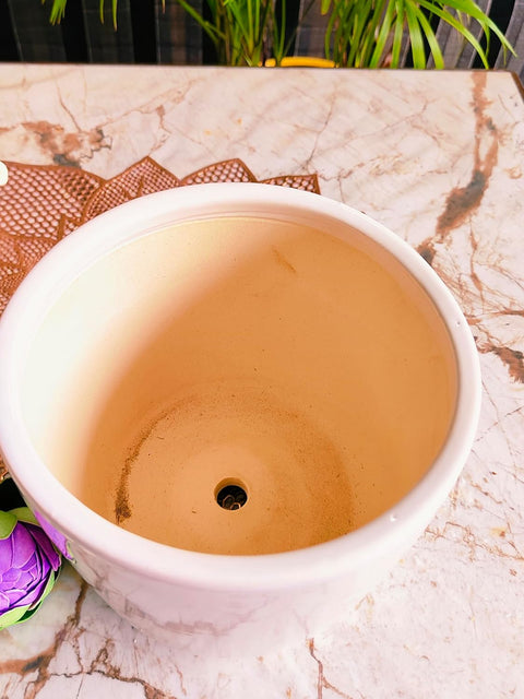 Falling Daisy Ceramic Pot
