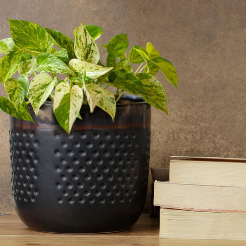 Tone Ceramic Planter