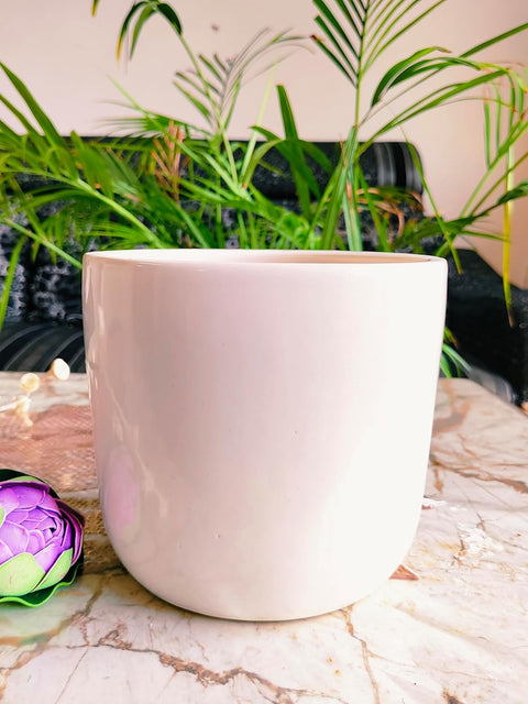 Falling Daisy Ceramic Pot