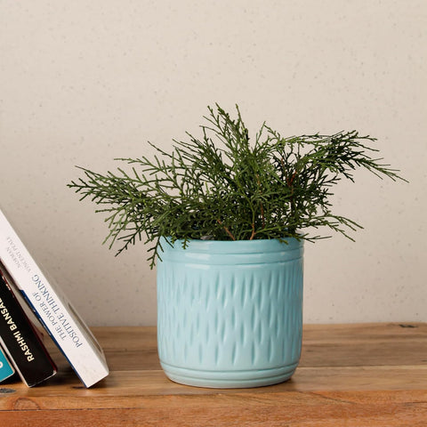 Sleek Ceramic Pot