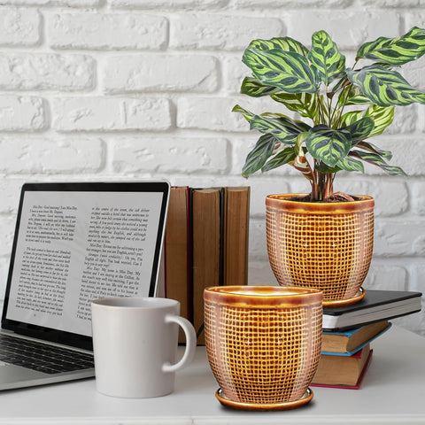 Decorative Ceramic Pot