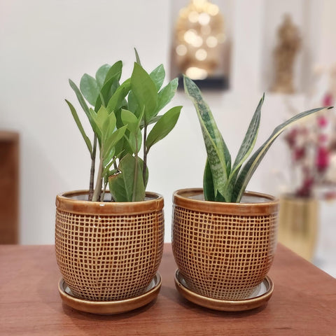 Decorative Ceramic Pot