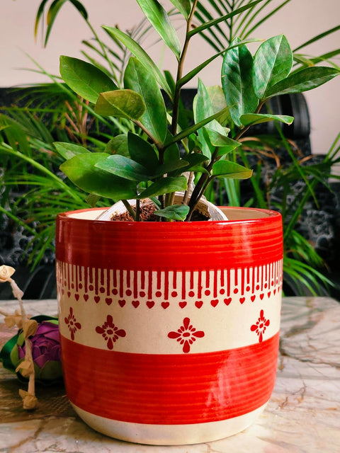 Falling Daisy Ceramic Pot