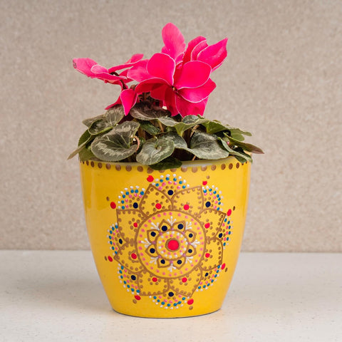 Mandla Ceramic Pot