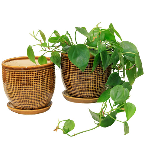 Decorative Ceramic Pot