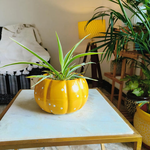Dotted Pumpkin Ceramic Pot
