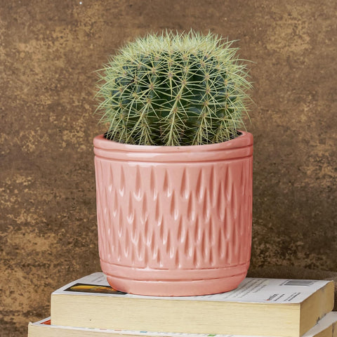 Sleek Ceramic Pot