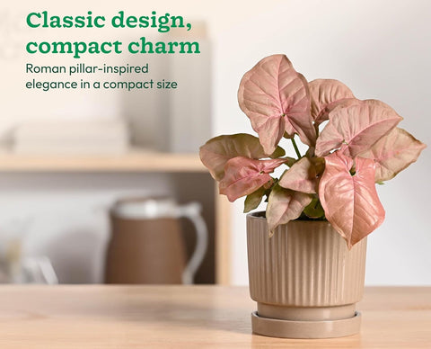 Roma Ceramic Pot