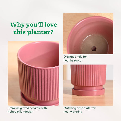 Roma Ceramic Pot
