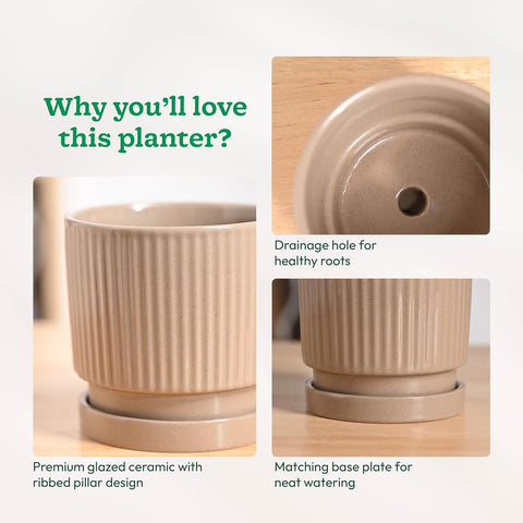 Roma Ceramic Pot