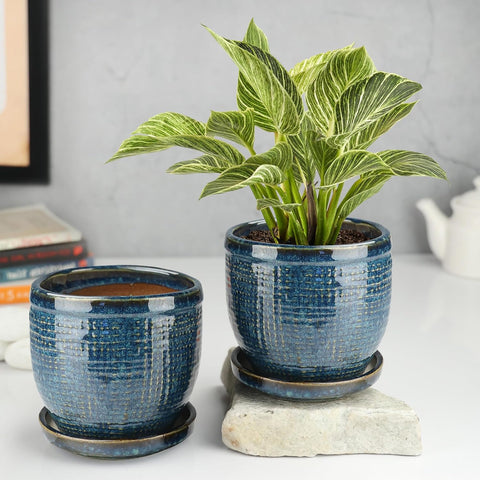 Decorative Ceramic Pot