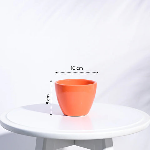 Boggy Ceramic Pot