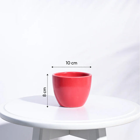 Boggy Ceramic Pot