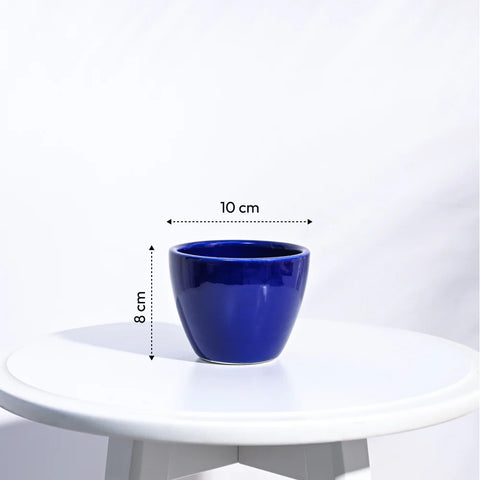 Boggy Ceramic Pot