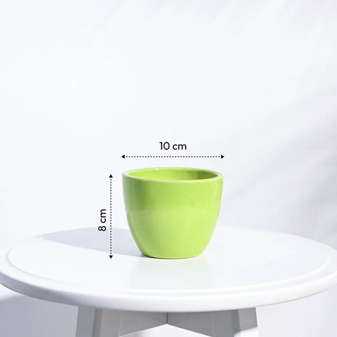 Boggy Ceramic Pot