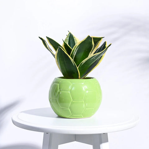 Football Ceramic Pot