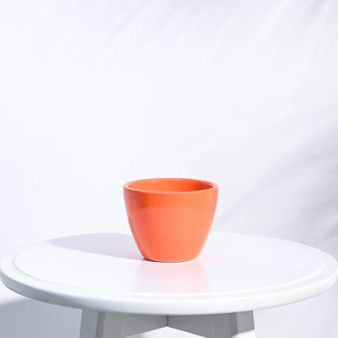 Boggy Ceramic Pot