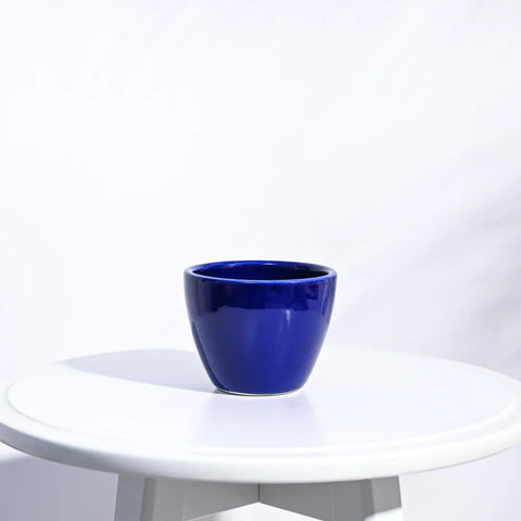Boggy Ceramic Pot