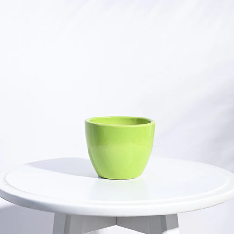 Boggy Ceramic Pot