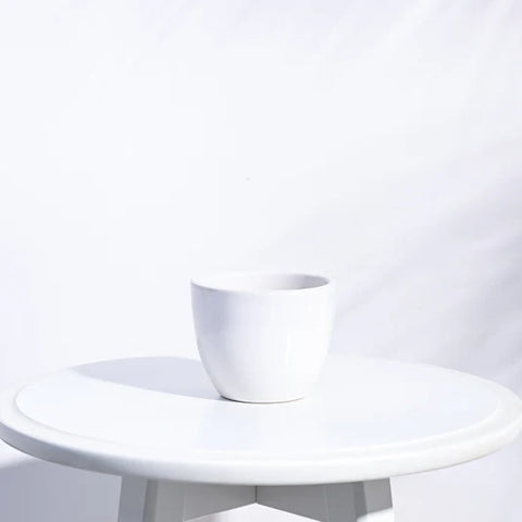Boggy Ceramic Pot