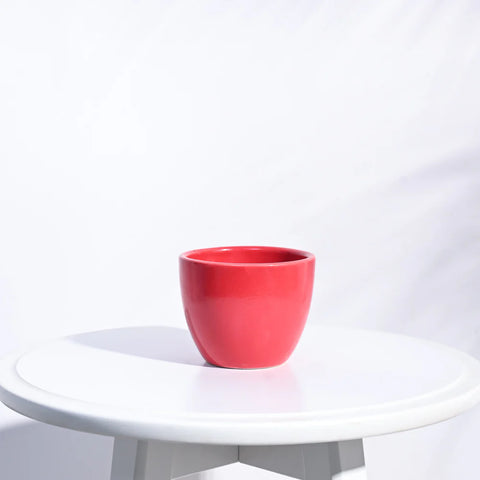 Boggy Ceramic Pot