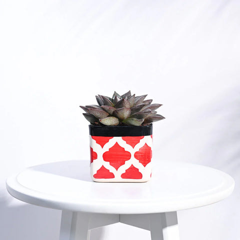 Square Ceramic Pot